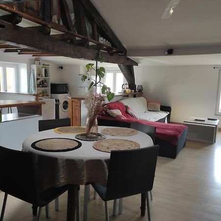 Appartement De Charme Coeur Historique Périgueux Екстериор снимка