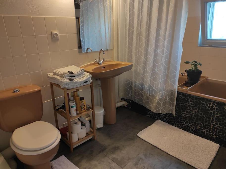 Appartement De Charme Coeur Historique Périgueux Екстериор снимка